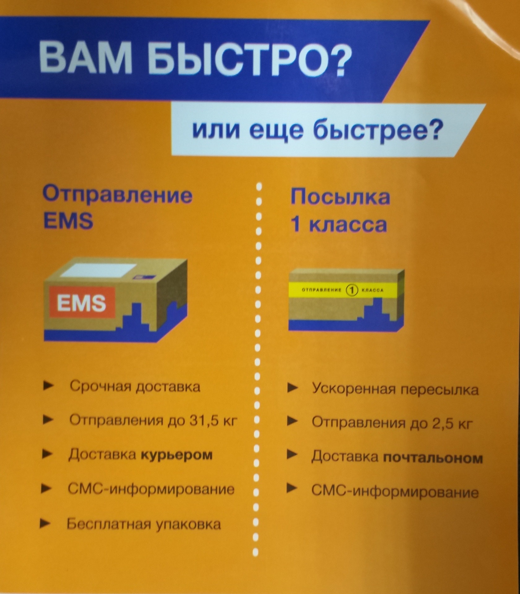 Максимальная сумма посылки. Ems почта России. Доставка почтой. Ems упаковка для отправлений. Посылка ems.